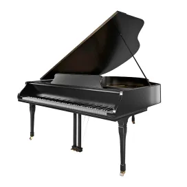 Grand Piano Classic Detailed